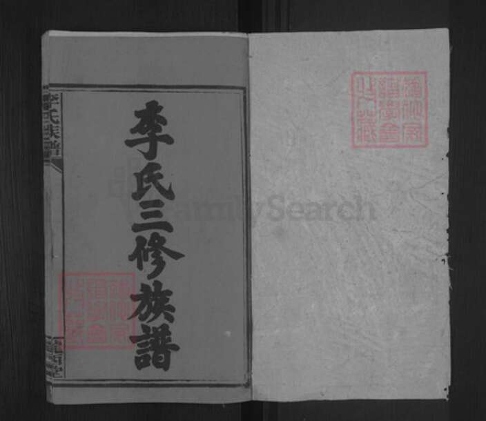 湖南省邵阳市洞口县杨林镇李氏陇西堂族谱-李氏三修族谱.pdf电子版预览图1