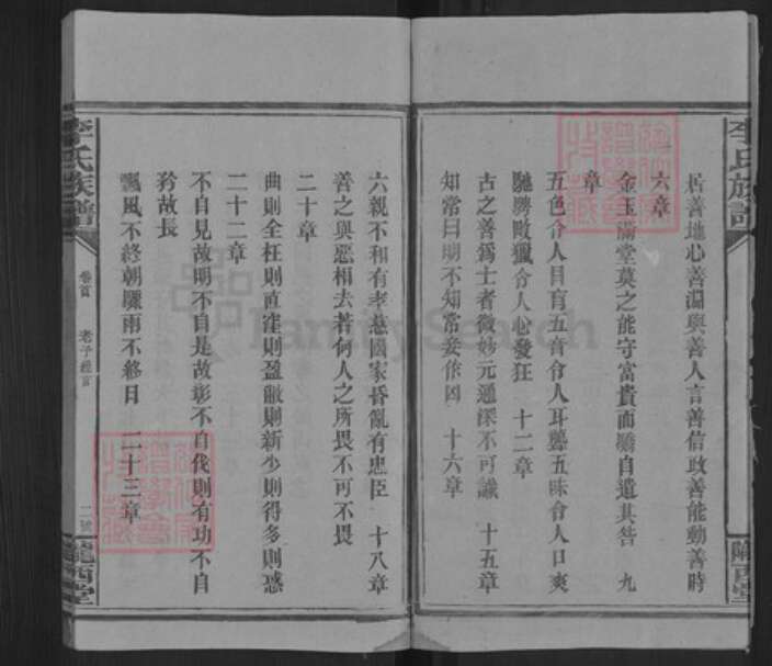 湖南省邵阳市洞口县杨林镇李氏陇西堂族谱-李氏三修族谱.pdf电子版预览图3