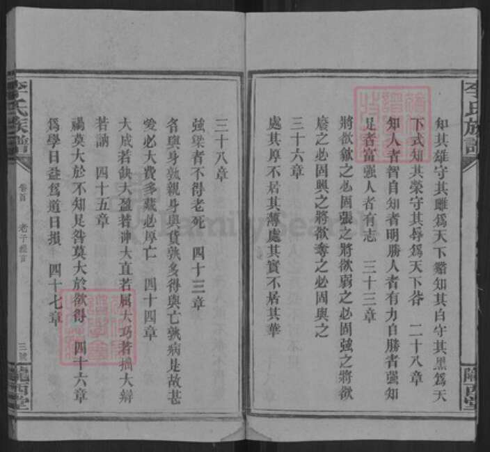 湖南省邵阳市洞口县杨林镇李氏陇西堂族谱-李氏三修族谱.pdf电子版预览图4