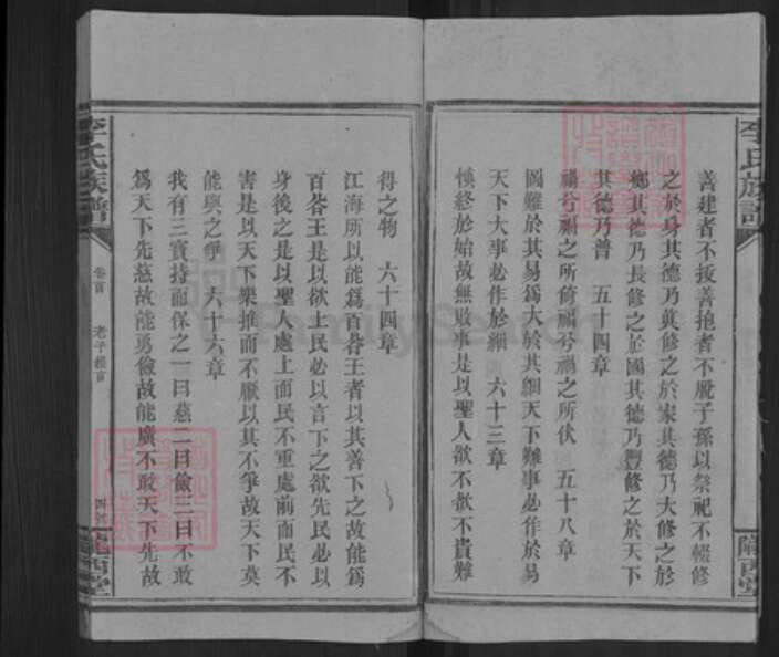 湖南省邵阳市洞口县杨林镇李氏陇西堂族谱-李氏三修族谱.pdf电子版预览图5