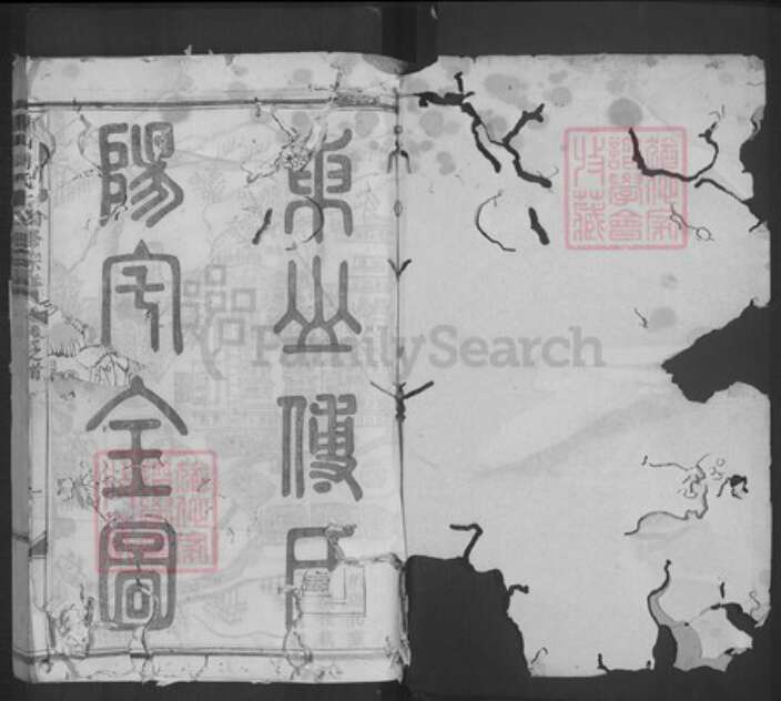 浙江省金华市傅氏族谱-东山傅氏十四修宗谱.pdf电子版预览图1