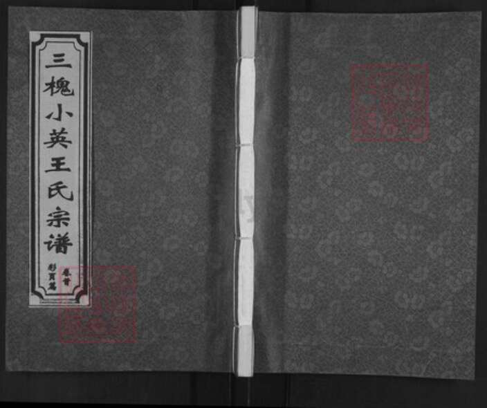 江西省鹰潭市月湖区王氏三槐堂族谱-三槐小英王氏宗谱.pdf电子版缩略图