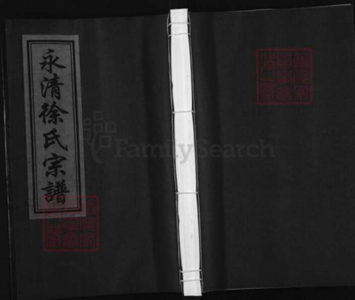 浙江省金华市武义县履坦镇徐氏族谱-永清徐氏宗谱.pdf电子版缩略图