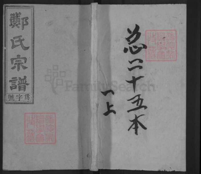 安徽省安庆市桐城市郑氏诒瑞堂族谱-郑氏宗谱.pdf电子版缩略图