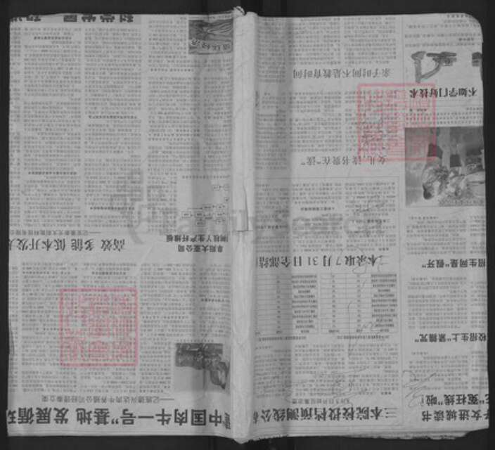 安徽省安庆市岳西县和平乡刘氏乙星堂族谱-刘氏支谱.pdf电子版缩略图