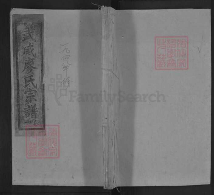 甘肃省武威廖氏益心堂族谱-武威廖氏宗谱.pdf电子版缩略图