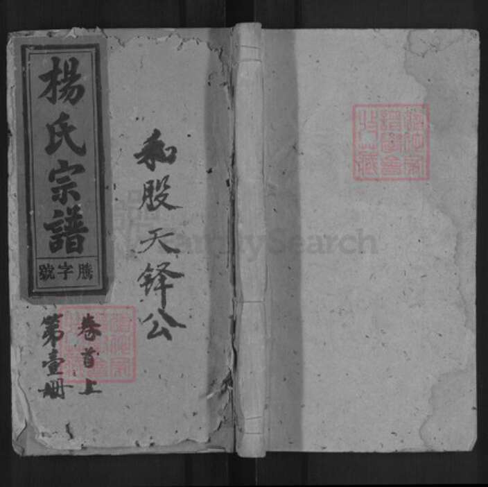 安徽省安庆市太湖县城西乡杨氏四知堂族谱-杨氏宗谱.pdf电子版缩略图