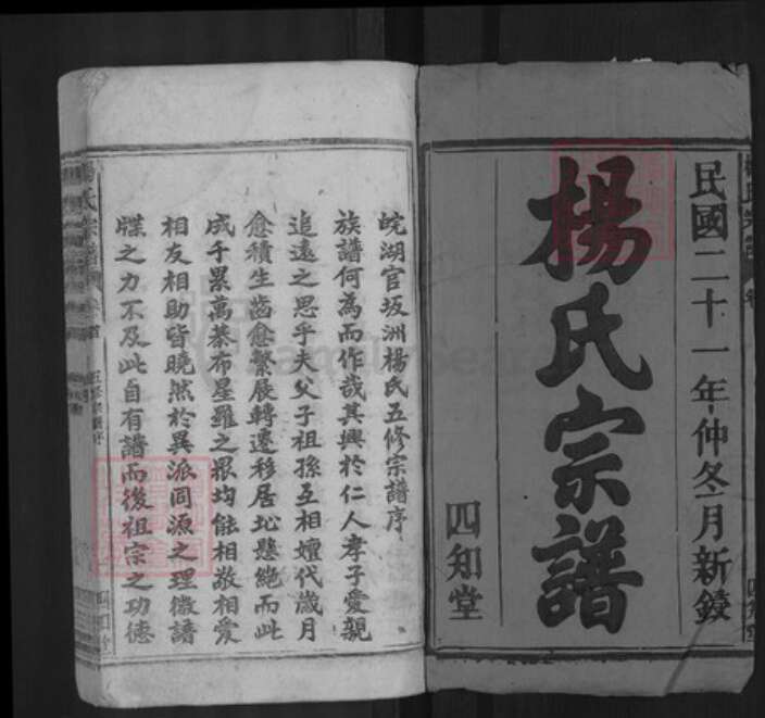 安徽省安庆市太湖县城西乡杨氏四知堂族谱-杨氏宗谱.pdf电子版预览图1