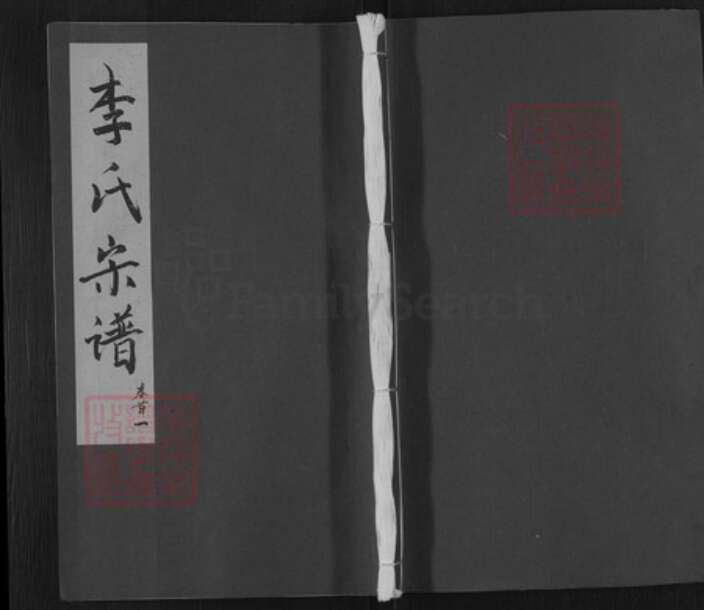 湖北省黄冈市武穴市李氏敬睦堂族谱-李氏宗谱.pdf电子版缩略图