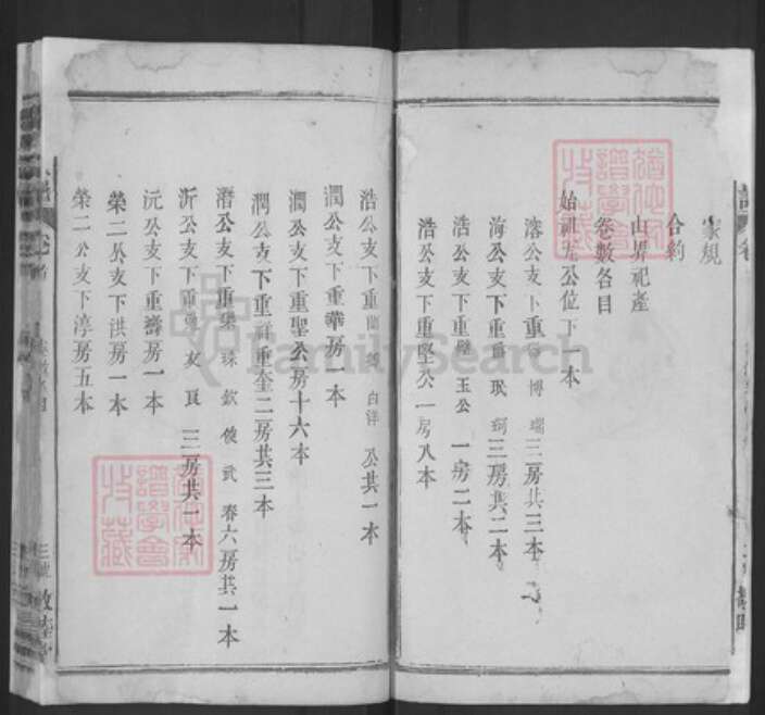 湖北省黄冈市武穴市李氏敬睦堂族谱-李氏宗谱.pdf电子版预览图3