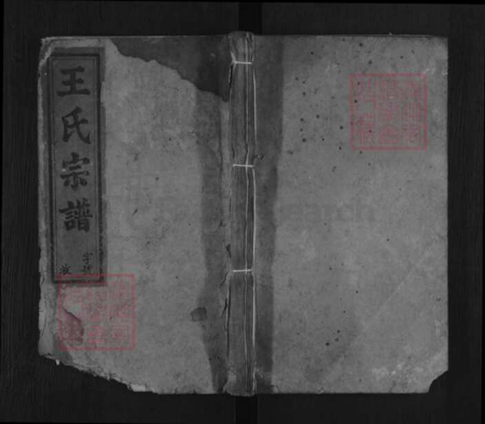 安徽省安庆市宿松县破凉镇王氏族谱-王氏宗谱.pdf电子版缩略图