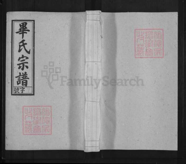 安徽省安庆市怀宁县毕氏余庆堂族谱-毕氏宗谱.pdf电子版缩略图