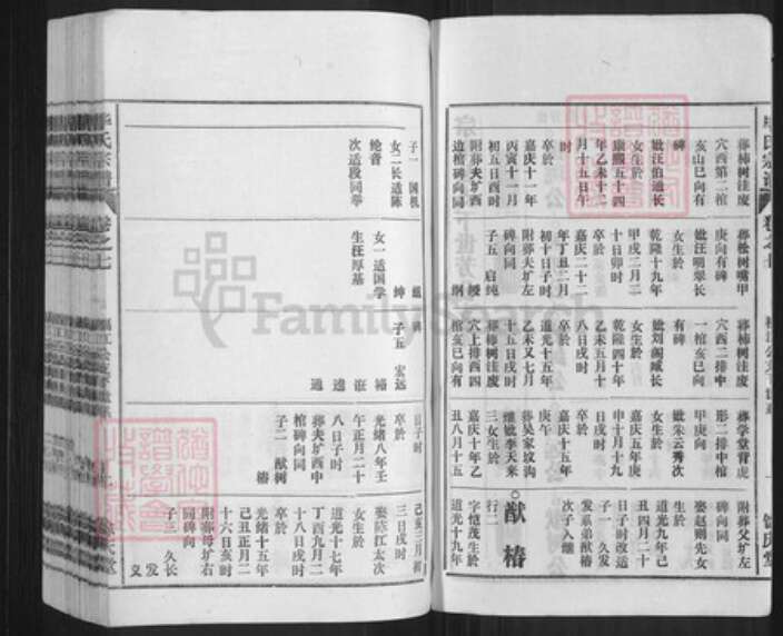 安徽省安庆市怀宁县毕氏余庆堂族谱-毕氏宗谱.pdf电子版预览图2