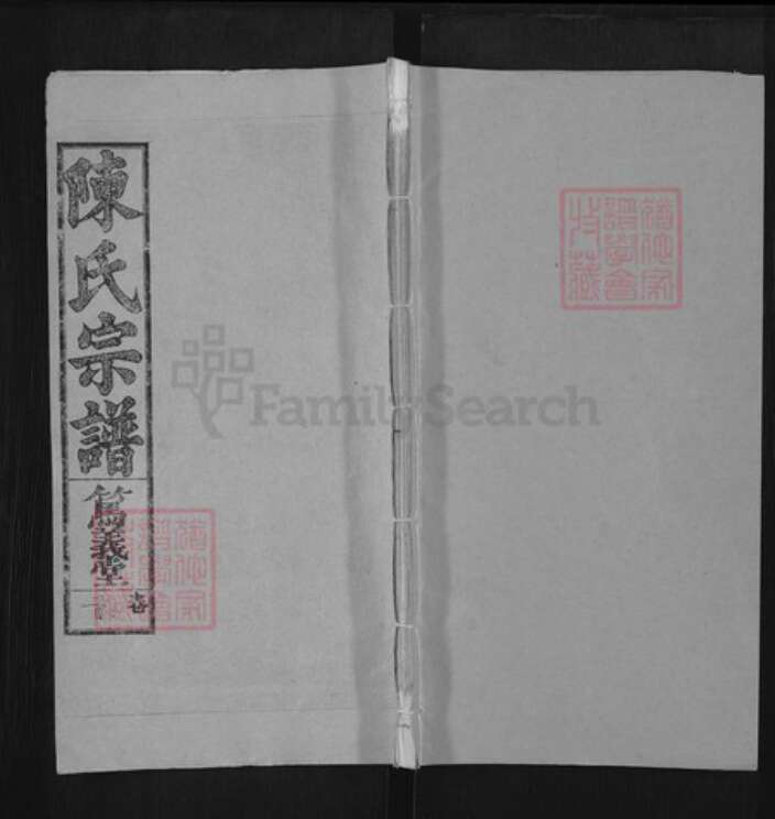 安徽省安庆市怀宁县茶岭镇陈氏笃义堂族谱-陈氏宗谱.pdf电子版缩略图