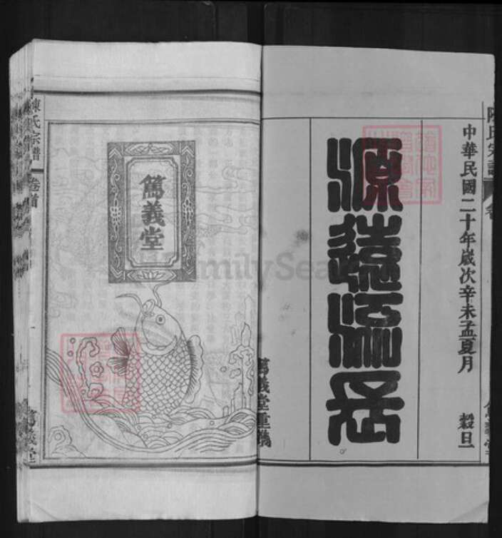 安徽省安庆市怀宁县茶岭镇陈氏笃义堂族谱-陈氏宗谱.pdf电子版预览图1