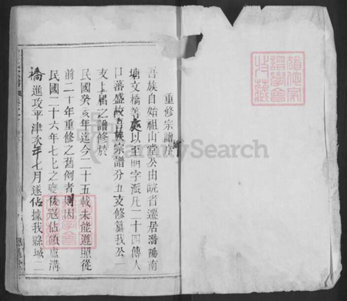 安徽省安庆市潜山市崔氏德星堂族谱-潜阳崔氏族谱.pdf电子版预览图1