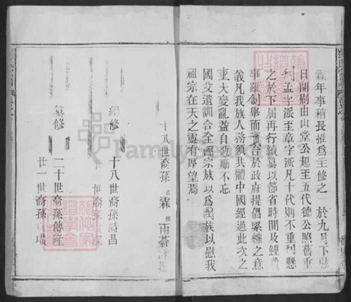 安徽省安庆市潜山市崔氏德星堂族谱-潜阳崔氏族谱.pdf电子版预览图3