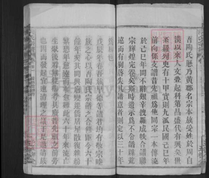 湖北省武汉市新洲区陶氏五柳堂族谱-陶氏宗谱.pdf电子版预览图2