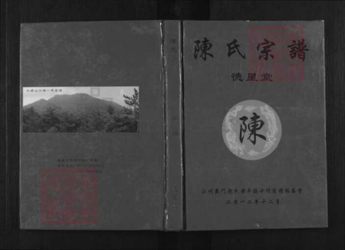 湖北省武汉市新洲区陈氏德星堂族谱-陈氏宗谱.pdf电子版缩略图