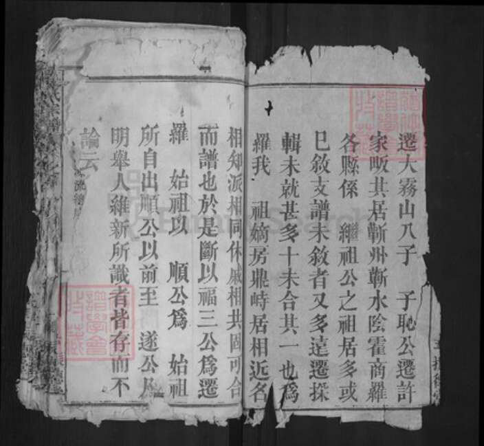 湖北省黄冈市罗田县龚氏振德堂族谱-龚氏宗谱.pdf电子版预览图2