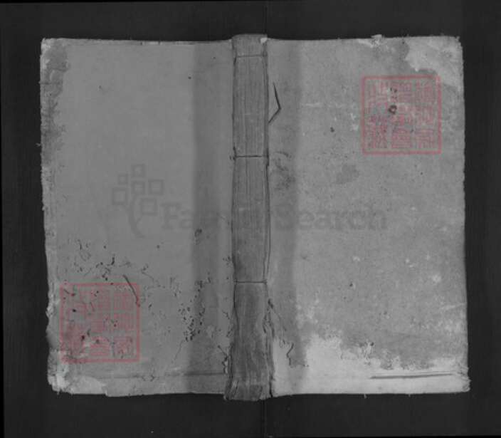 湖北省咸宁市通山县徐氏东海堂族谱-徐氏宗谱.pdf电子版缩略图