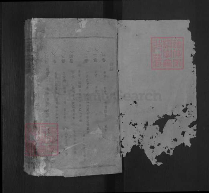 湖北省咸宁市通山县徐氏东海堂族谱-徐氏宗谱.pdf电子版预览图1