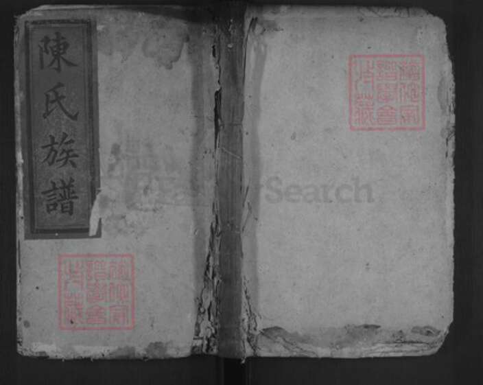 湖南省郴州市陈氏德星堂族谱-陈氏族谱.pdf电子版缩略图