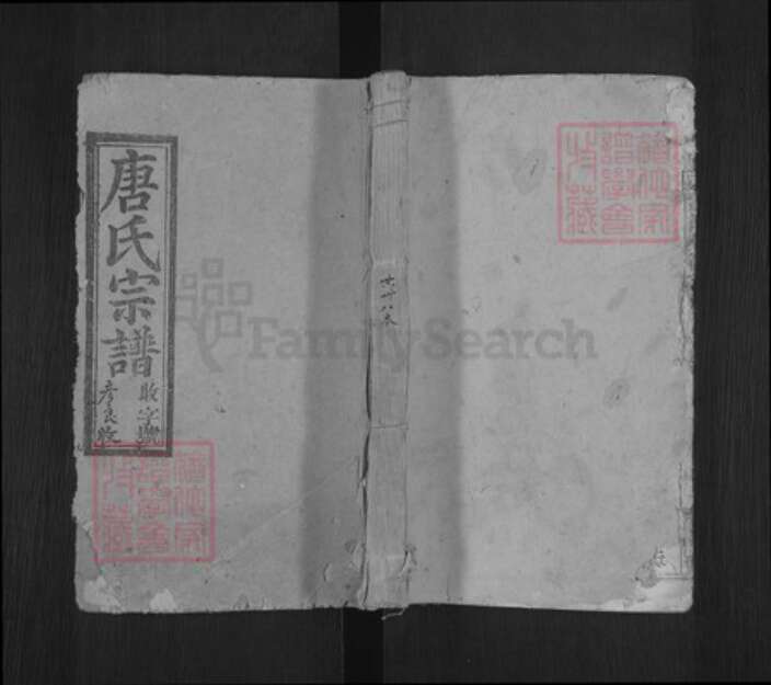 安徽省安庆市宿松县唐氏同德堂族谱-唐氏宗谱.pdf电子版缩略图