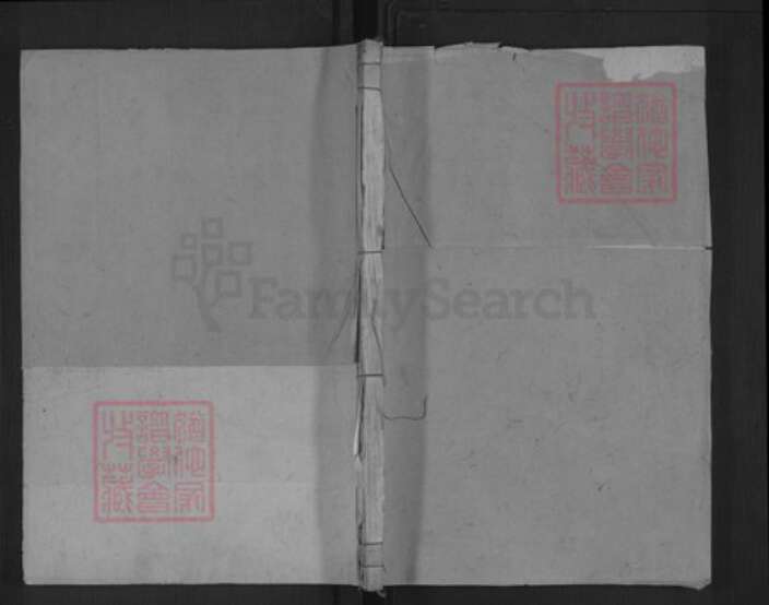 福建省南平市浦城县永兴镇杨氏集贤堂族谱-杨氏宗谱.pdf电子版缩略图