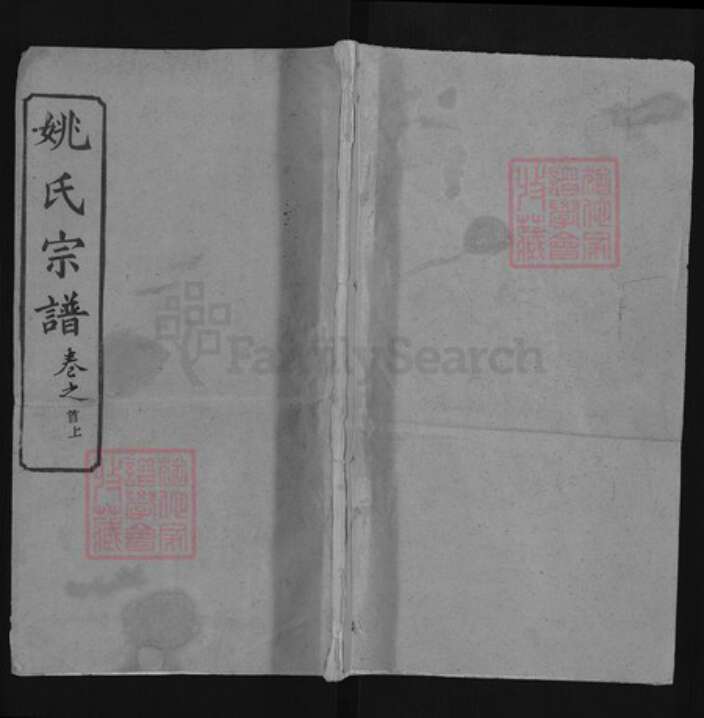 湖北省武汉市新洲区姚氏清俭堂族谱-姚氏宗谱.pdf电子版缩略图