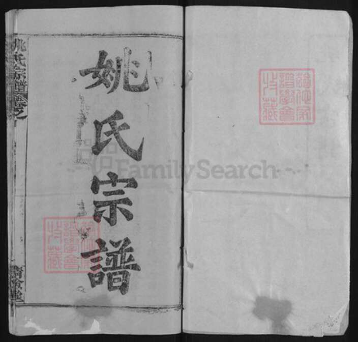 湖北省武汉市新洲区姚氏清俭堂族谱-姚氏宗谱.pdf电子版预览图1