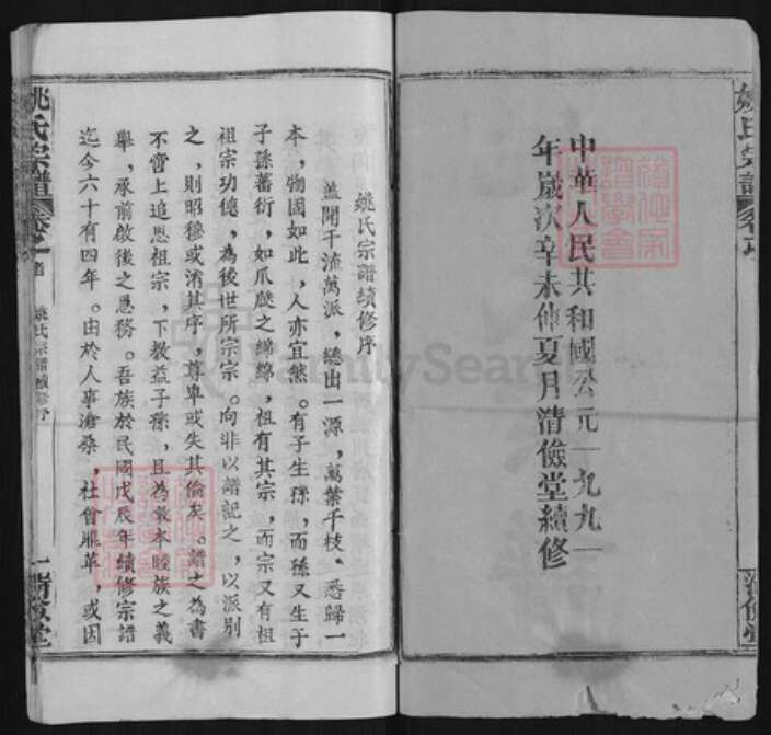 湖北省武汉市新洲区姚氏清俭堂族谱-姚氏宗谱.pdf电子版预览图2