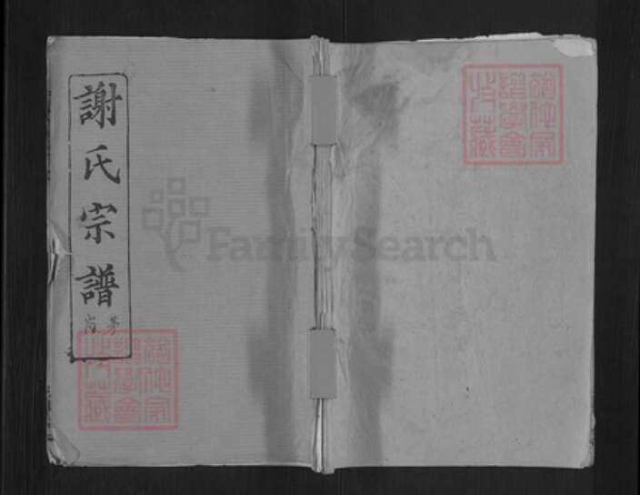 湖北省武汉市新洲区谢氏三傅堂族谱-谢氏宗谱.pdf电子版缩略图