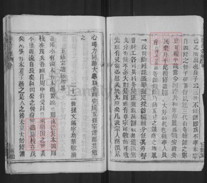 湖北省武汉市新洲区谢氏三傅堂族谱-谢氏宗谱.pdf电子版预览图2