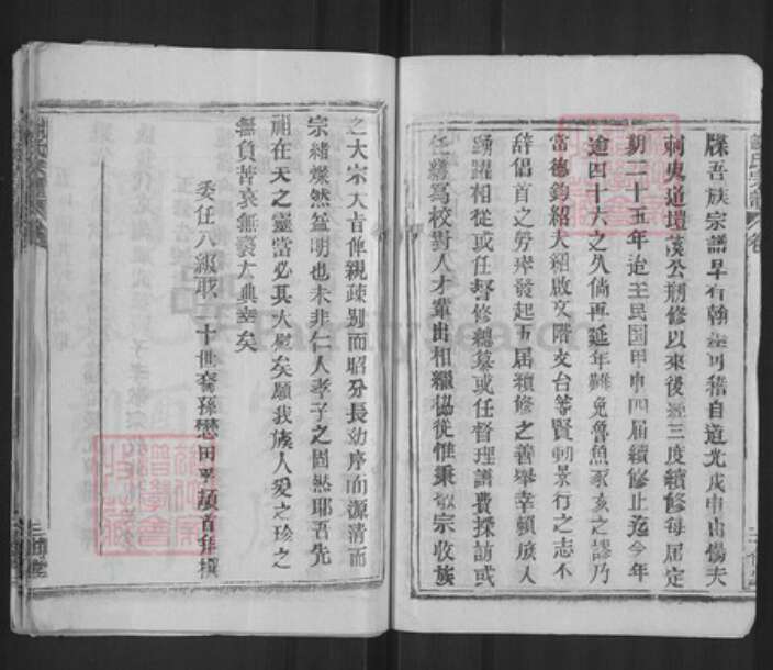 湖北省武汉市新洲区谢氏三傅堂族谱-谢氏宗谱.pdf电子版预览图3