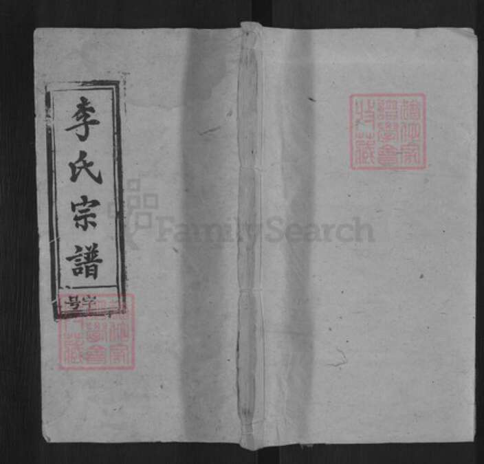 安徽省安庆市宿松县孚玉镇李氏族谱-李氏宗谱.pdf电子版缩略图