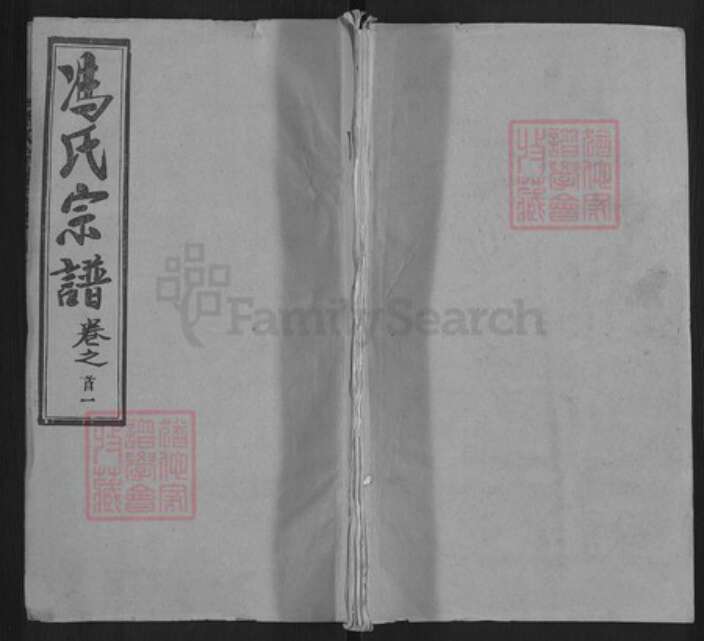 湖北省武汉市黄陂区冯氏大树堂族谱-冯氏宗谱.pdf电子版缩略图