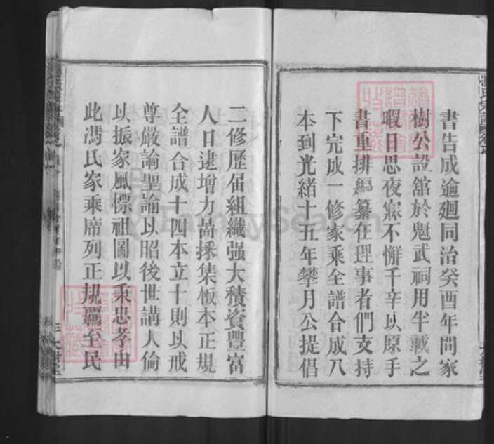 湖北省武汉市黄陂区冯氏大树堂族谱-冯氏宗谱.pdf电子版预览图3