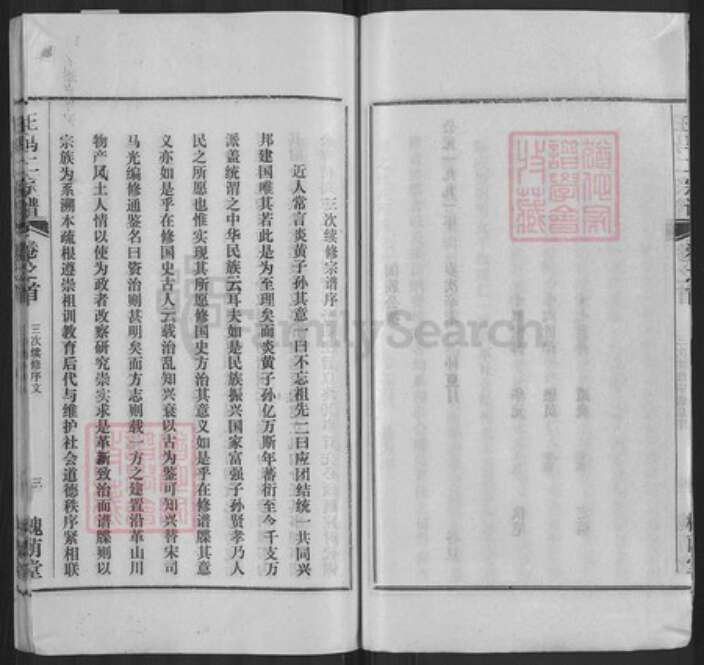 湖北省黄冈市王氏槐荫堂族谱-王马二宗谱.pdf电子版预览图5