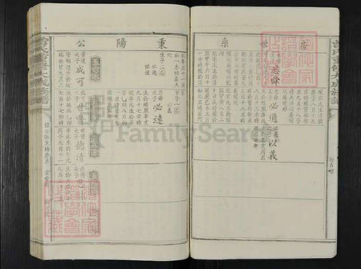 江西省赣州市于都县曾氏族谱-曾氏重修大成族谱.pdf电子版预览图5