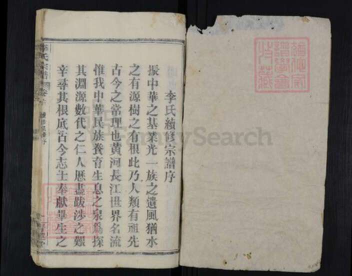 湖北省黄冈市红安县杏花乡李氏青莲堂族谱-李氏宗谱.pdf电子版预览图1