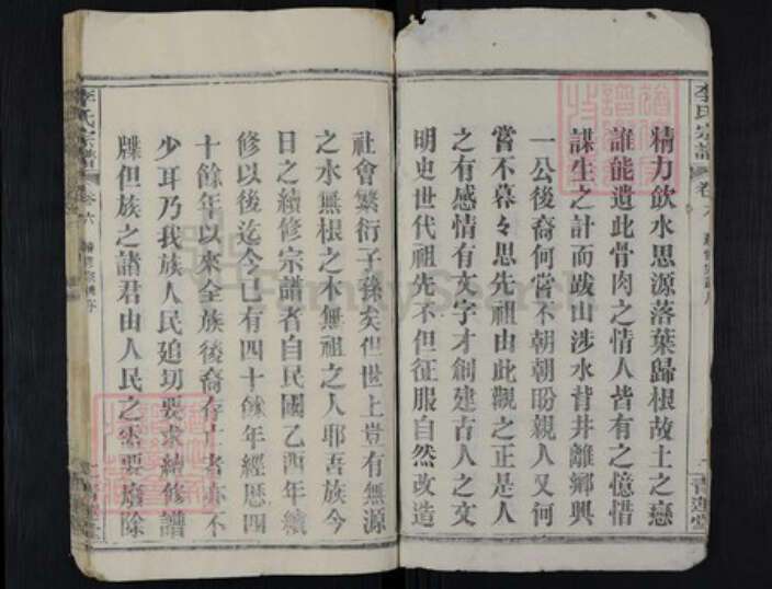 湖北省黄冈市红安县杏花乡李氏青莲堂族谱-李氏宗谱.pdf电子版预览图2