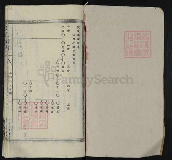 湖北省黄冈市英山县杨柳湾镇倪氏重光堂族谱-倪氏族谱.pdf电子版预览图1