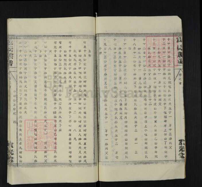 湖北省黄冈市英山县杨柳湾镇倪氏重光堂族谱-倪氏族谱.pdf电子版预览图4