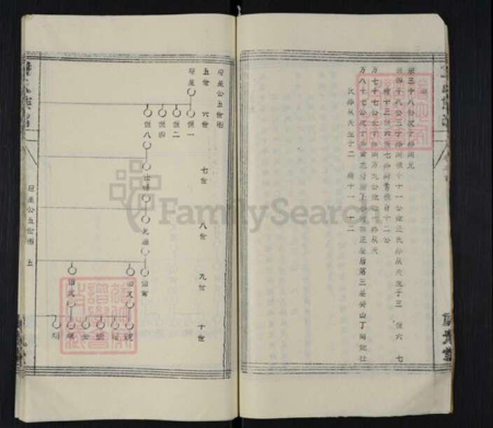 湖北省黄冈市英山县杨柳湾镇倪氏重光堂族谱-倪氏族谱.pdf电子版预览图5