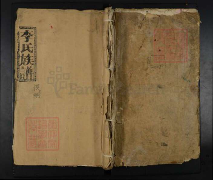 湖南省岳阳市临湘市临湘李氏花萼堂族谱-李氏族谱.pdf电子版缩略图