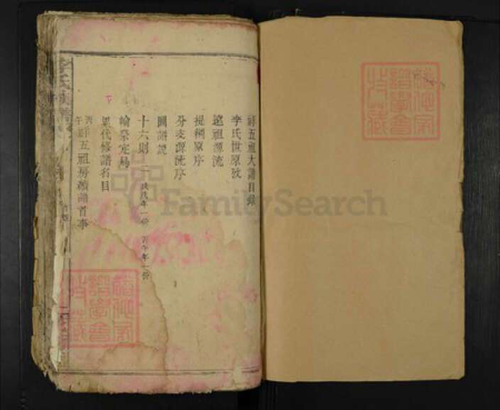 湖南省岳阳市临湘市临湘李氏花萼堂族谱-李氏族谱.pdf电子版预览图1