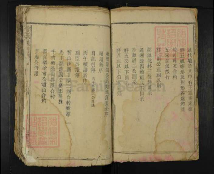 湖南省岳阳市临湘市临湘李氏花萼堂族谱-李氏族谱.pdf电子版预览图2