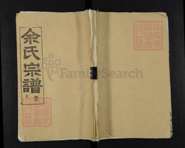 湖北省武汉市新洲区余氏敦本堂族谱-余氏宗谱.pdf电子版缩略图