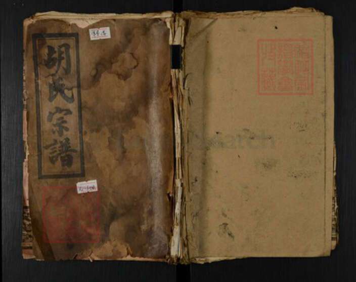 湖南省岳阳市临湘市临湘胡氏安定堂族谱-胡氏宗谱.pdf电子版缩略图